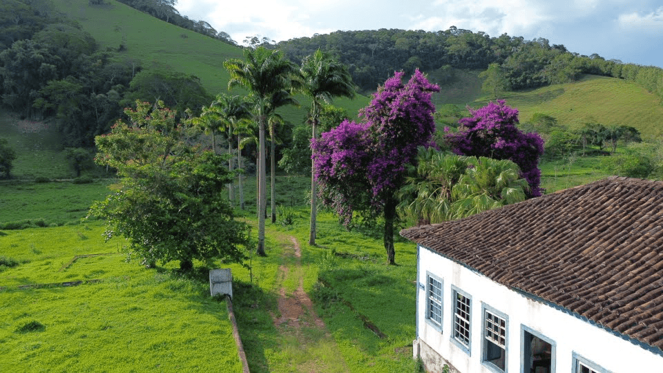Vista aérea do casarão da Fazenda Santa Clara entre palmeiras e buganvílias floridas, com morros verdes ao fundo