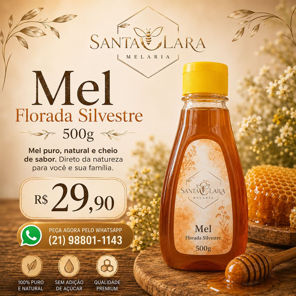 Mel Bisnaga 500 g